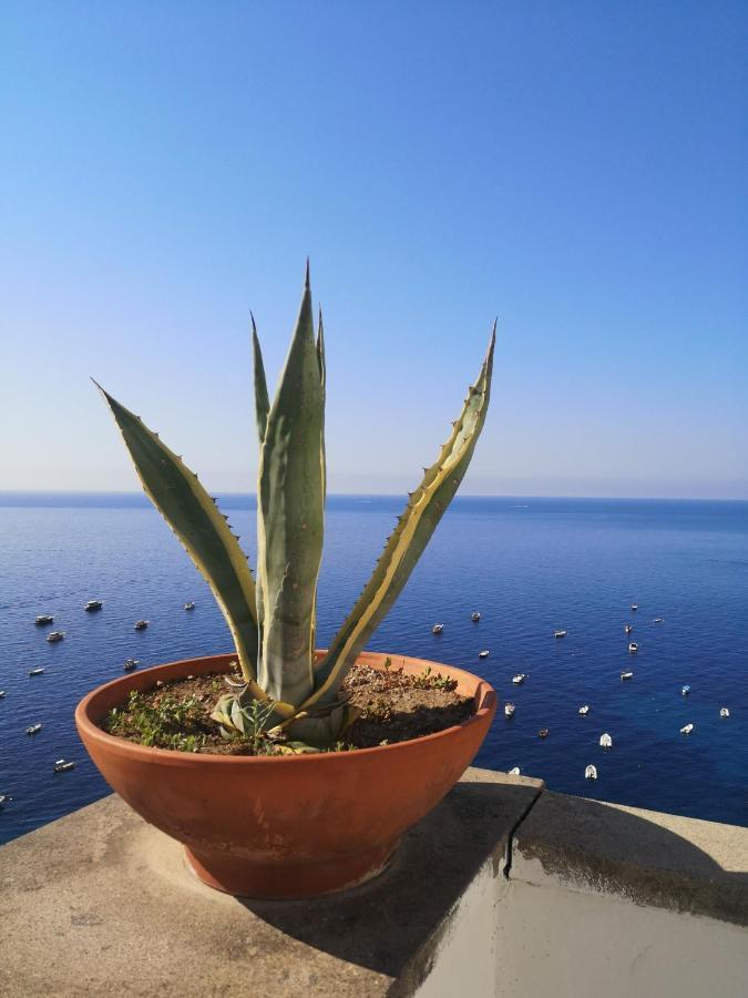 Hotel Dimora Fornillo Positano Zewnętrze zdjęcie